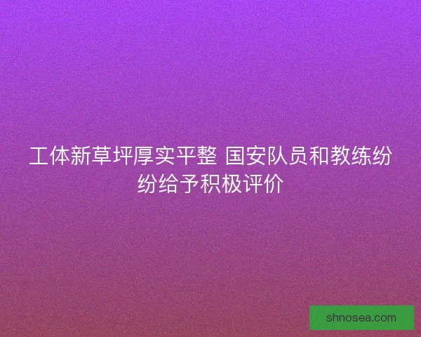 工体新草坪厚实平整 国安队员和教练纷纷给予积极评价