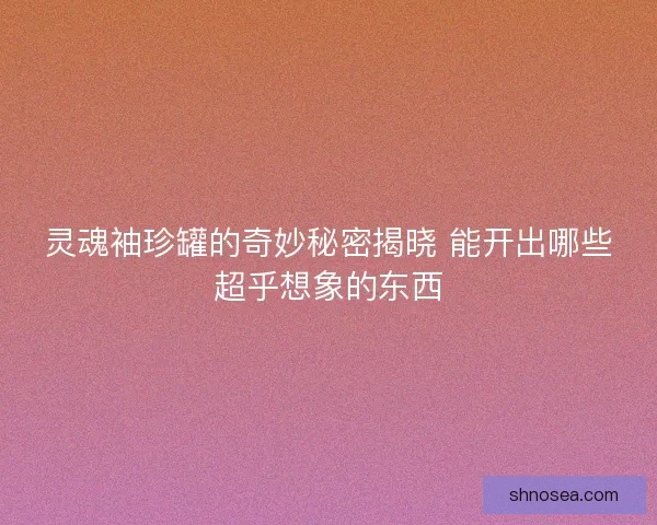 灵魂袖珍罐的奇妙秘密揭晓 能开出哪些超乎想象的东西
