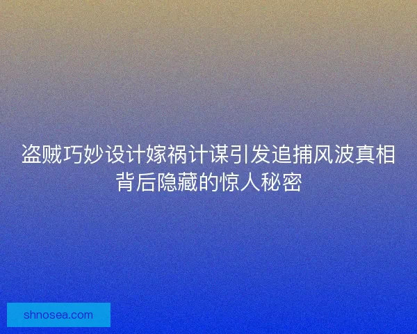 盗贼巧妙设计嫁祸计谋引发追捕风波真相背后隐藏的惊人秘密