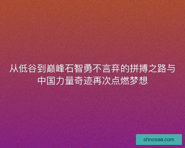 从低谷到巅峰石智勇不言弃的拼搏之路与中国力量奇迹再次点燃梦想