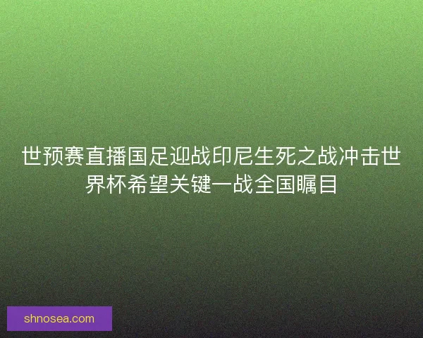 世预赛直播国足迎战印尼生死之战冲击世界杯希望关键一战全国瞩目