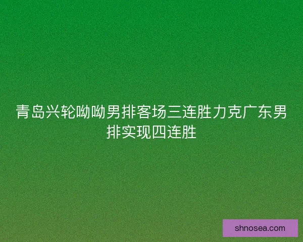 青岛兴轮呦呦男排客场三连胜力克广东男排实现四连胜