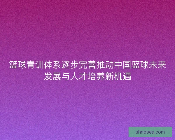 篮球青训体系逐步完善推动中国篮球未来发展与人才培养新机遇